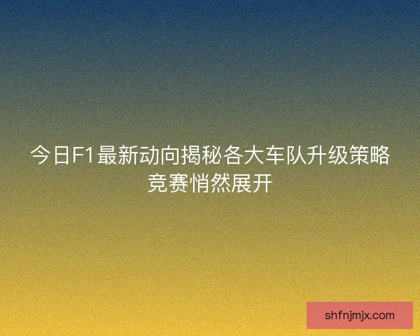 今日F1最新动向揭秘各大车队升级策略竞赛悄然展开