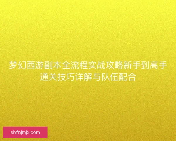 梦幻西游副本全流程实战攻略新手到高手通关技巧详解与队伍配合