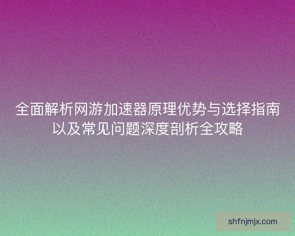 全面解析网游加速器原理优势与选择指南以及常见问题深度剖析全攻略